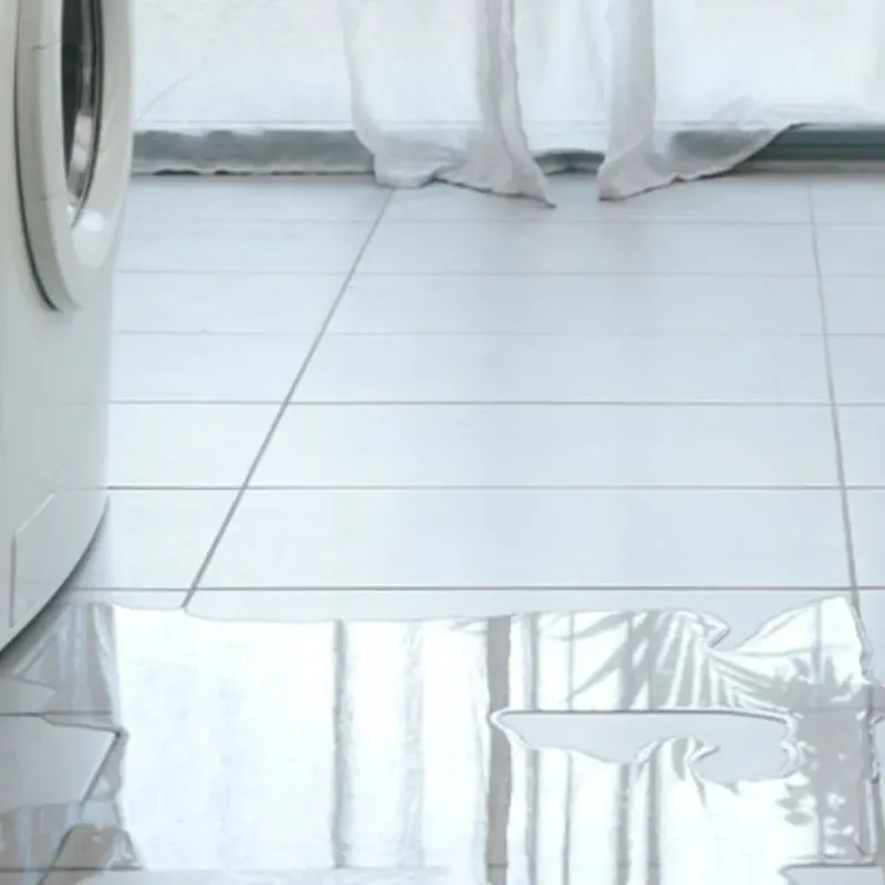 Appliance Leak Cleanup in Richmond County, NC