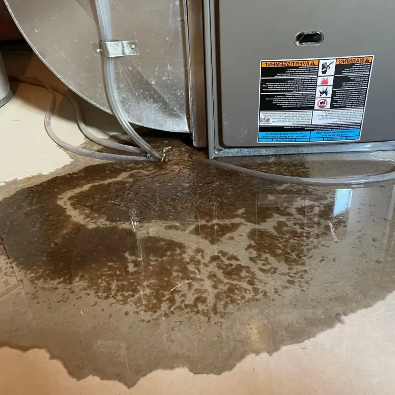 Pipe Burst and Leak Restoration in Richmond County, NC